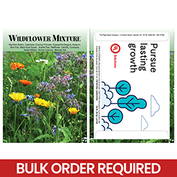 Wildflower Seed Packet - Pursue Lasting Growth